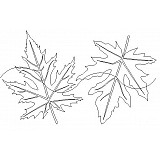 maple leaf border 3